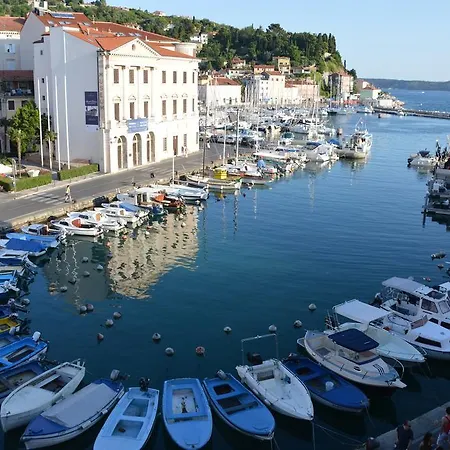 아파트 Buena Vista *