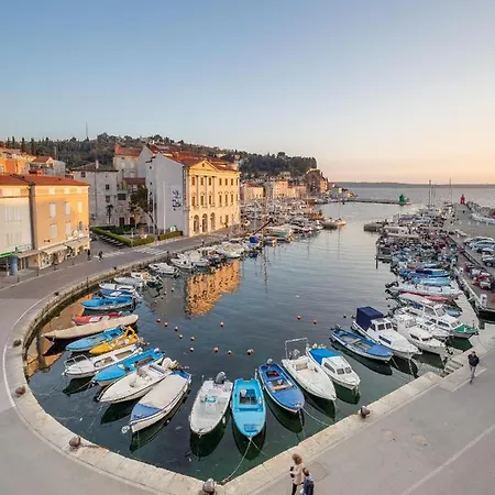 Buena Vista 아파트 *