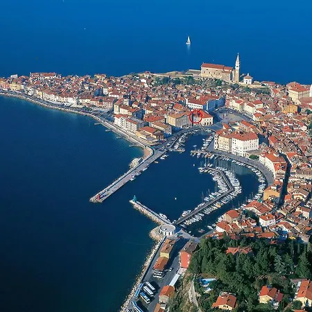 Buena Vista 아파트