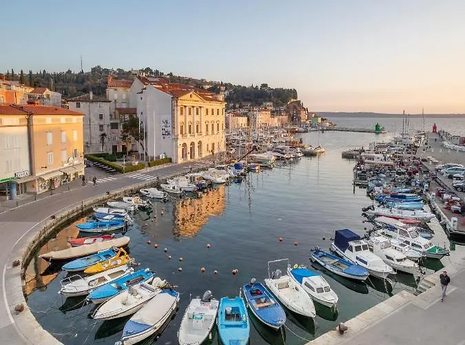 Buena Vista Appartement *