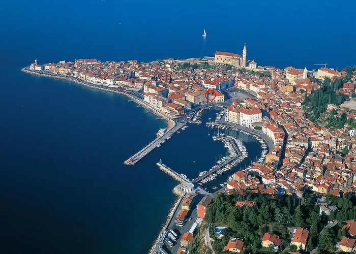 Buena Vista アパート